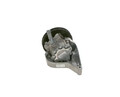 Servolenkungspumpe hydraulisch K S01 000 628 BOSCH für BMW 1 3 3 Touring