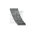 1x Keilrippenriemen FEBI BILSTEIN 43606 passend für ALFA ROMEO FIAT OPEL