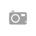 Panasonic Lumix DC-FZ82D schwarz Wie Neu! **