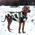 Wasserdicht Hunde Regenmantel Jacke Hund Reflektierender Winter Warm Regenjacke
