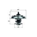 Thermostat, Kühlmittel MAHLE TX 30 87D für VAG