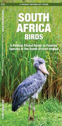 James Kavanagh (u. a.) | South Africa Birds | Taschenbuch | Englisch (2018)