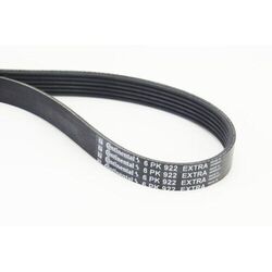 1x Keilrippenriemen CONTINENTAL CTAM 6PK922 EXTRA passend für AUDI