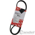 FEBI BILSTEIN KEILRIPPENRIEMEN 6PK745mm passend für AUDI A1 A2 A3 Q3 CITROËN