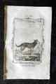 Buffon 1785 antiker Hundedruck. Schäferhund