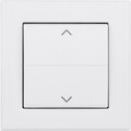 Homematic IP  Tasterwippe   HmIP-BRA