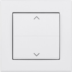 Homematic IP  Tasterwippe   HmIP-BRA
