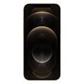 Apple iPhone 12 Pro Max 256 GB gold Sehr guter Zustand **