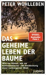 Das geheime Leben der Bäume: Was sie fühlen, wie sie kommunizie
