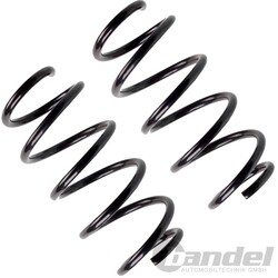 2x FAHRWERKSFEDERN FEDERN HINTEN passend für OPEL ASTRA H LIMO + GTC 3-/5-Türer