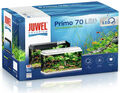 Juwel Primo 70 LED Aquarium Set - Schwarz-70 Liter-61cm-31cm-44cm