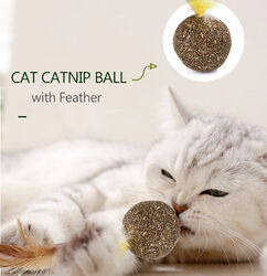Natural Catnip Mint  Ball  Feather Treat Ball Toy  Scratcher Ball X0Z4