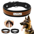 Personalisiert Hundehalsband Weiches Leder mit Namen Gravur Verstellbar Halsband