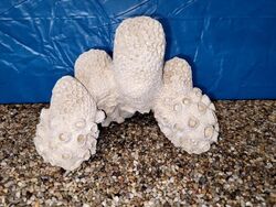 Klassische weiße Korallenriff-Effekt natürliches Aquarium Tank Ornament Höhle - C8