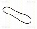 TRISCAN Keilriemen 8640 100788 für ALFA ROMEO AUDI AUTOBIANCHI CITROËN
