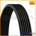 Keilrippenriemen CONTINENTAL CTAM 6PK1100 für VW Vento MAN