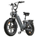 20 Zoll E-Mountainbike 48V 20AH Vollfederung eBIKE 25km/h Elektrofahrrad