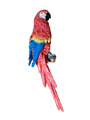 Dekofigur Papagei Ara 40 cm lebensecht Rot Wand Deko Amazonas Zoo Garten B-WARE