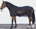 HORSEWARE SPORTZ-VIBE ZX HORSE RUG - DIE KABELLOSE VERSION - MASSAGEDECKE