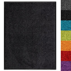 Schmutzfangmatte Use&Wash Türmatte Sauberlaufmatte Fußabtreter viele Farben
