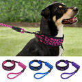 Hundehalsband Halsband Welpenhalsband mit Leine für Mittlere und Große Hunde