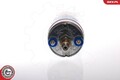 ESEN SKV Kraftstoffpumpe 02SKV009 für AUDI FERRARI FORD MERCEDES-BENZ PUCH