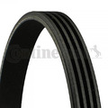 CONTINENTAL CTAM Keilrippenriemen 4PK855 Keilrippenriemen für AUDI BMW CITROËN