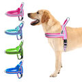 Reflektierende Hundegeschirr für große Hunde Kein Zug Fleece Gepolstert XS S M L