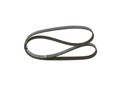 BOSCH 1 987 945 704 Keilrippenriemen für Bmw Dacia Renault Vw Nissan