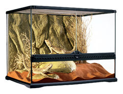 Exo Terra Terrarium aus Glas - Glasterrarium - Terrarien - 60x45x45cm (LxTxH)