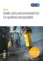 Health, safety and environment for operatives and specialists: GT100/19 DVD