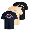 3er Pack Jack & Jones Herren T-Shirt Regular Slim Fit Rundhals Print kurzarm