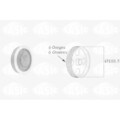 1x Riemenscheibe, Kurbelwelle SASIC 9001805 passend für AUDI VW
