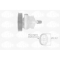 1x Hydraulikpumpe, Lenkung SASIC 7070043 passend für CITROËN PEUGEOT