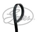 Original GATES Keilrippenriemen 4PK1102SFHD für Iveco