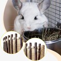 Kaninchen Heu Futterhaus Kleintier Futterhalter für Eichhörnchen Frettchen Häschen