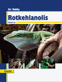 Rotkehlanolis | Manfred Au | Buch | Deutsch | 2008 | Bede | EAN 9783898601634