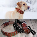 Hundehalsband Nietenhalsband Breit Nieten Echtleder Hunde Leder Halsband XS-L