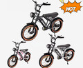 RCB RK29 20Zoll Elektrofahrrad 25km/h E-Mountainbike 48V 15Ah Trekking Moped