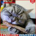 20pcs Matatabi Catnip Snacks Sticks Katzen Kauhölzer Katzenminze Zähne Gesund