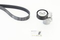 CONTINENTAL CTAM Keilrippenriemensatz 6PK1130K3 für VW GOLF 7 5G1 BQ1 BE1 BE2 B8