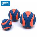 Chuckit! Ultra Squeaker Ball - Apportierspielzeug Hundespielzeug mit Quietschie