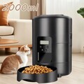 Futterautomat Katze 2L Katzenfutter Automat Futterspender mit Timer für Katzen