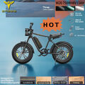 ENGWE M20 E-bike Elektrofahrrad 20 Zoll 750W E-Fatbike E-Mountainbike Pedelec