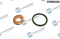 DR.MOTOR AUTOMOTIVE DRM0266 Dichtungssatz Einspritzdüse für AUDI Q2 (GAB)