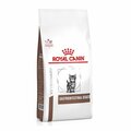 400g ROYAL CANIN Feline Gastrointestinal Kitten Unterstützung der Verdauung