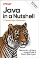 Java in a Nutshell by Benjamin J Evans (Paperback Book)