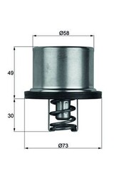 MAHLE THD 1 75 Thermostat, Kühlmittel für DAF