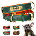 MANDIAGO - Personalisiertes Hundehalsband Leder Halsband Hund Gravur Name