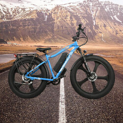 26 Zoll E Bike Mountainbike 800W eBike Elektrofahrrad 48V 13AH Trekking Bikes